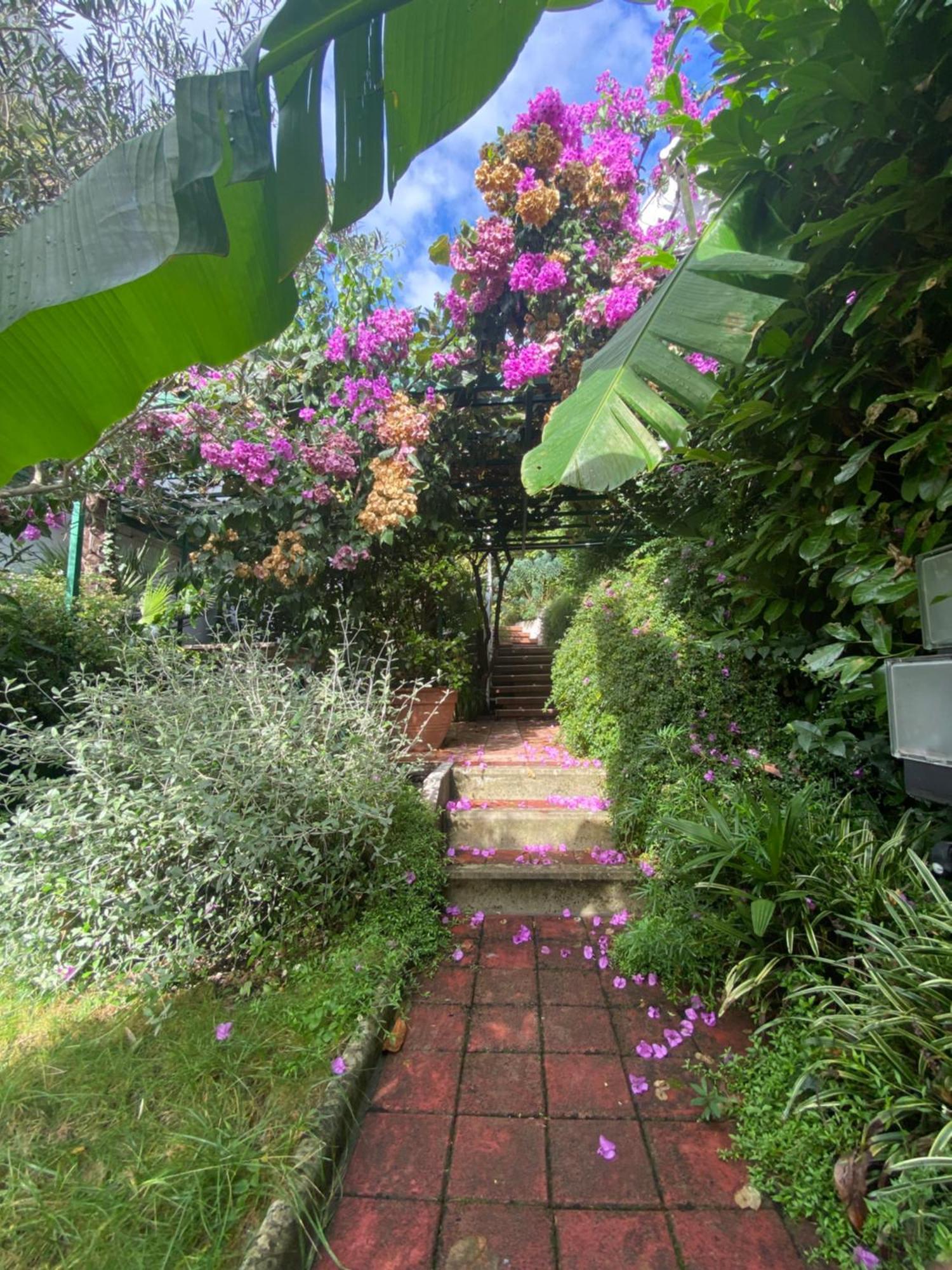 Апартаменти Sunny Garden Опатія Екстер'єр фото